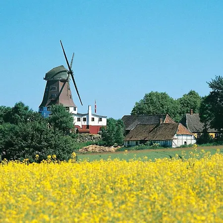 Xii Daire Rudkøbing